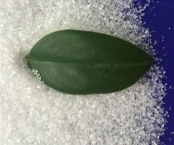 為什么硫酸鎂價(jià)格會(huì)有差別呢？